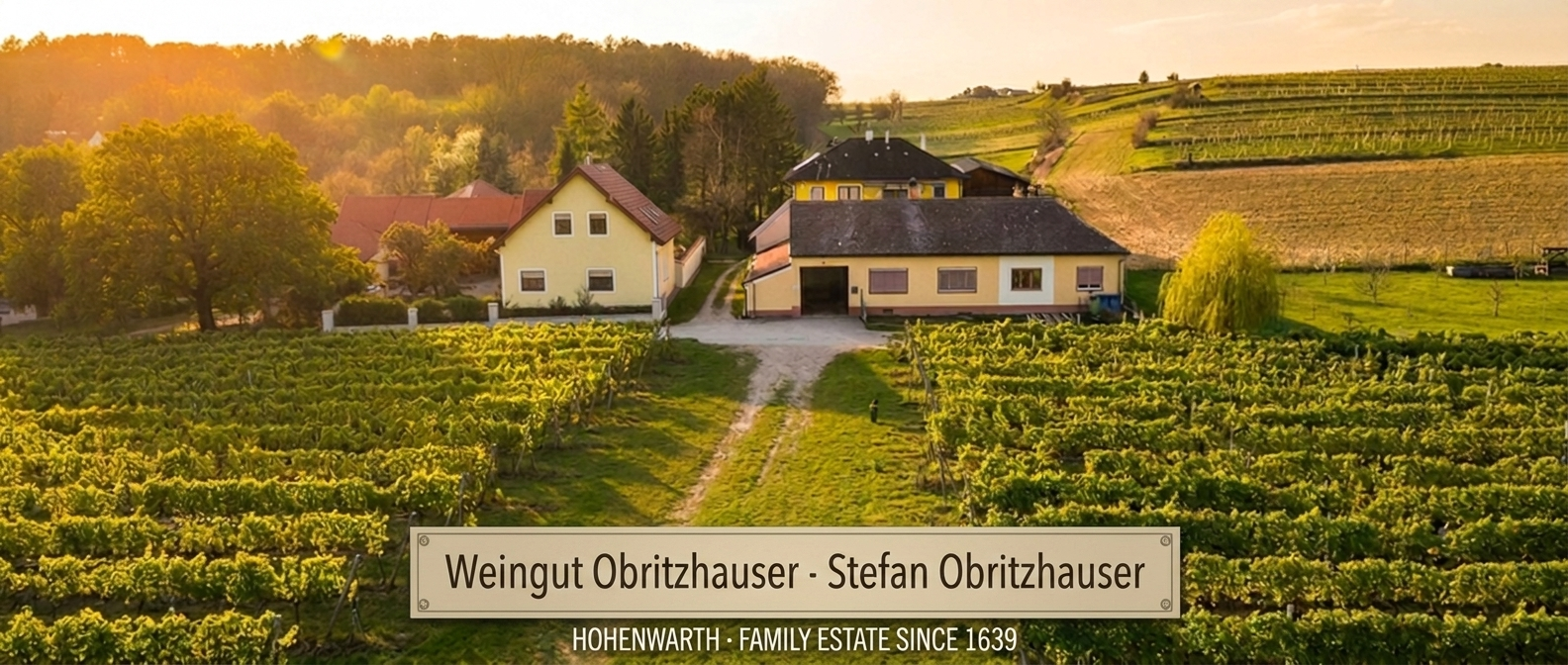Weingut Obritzhauser winery
