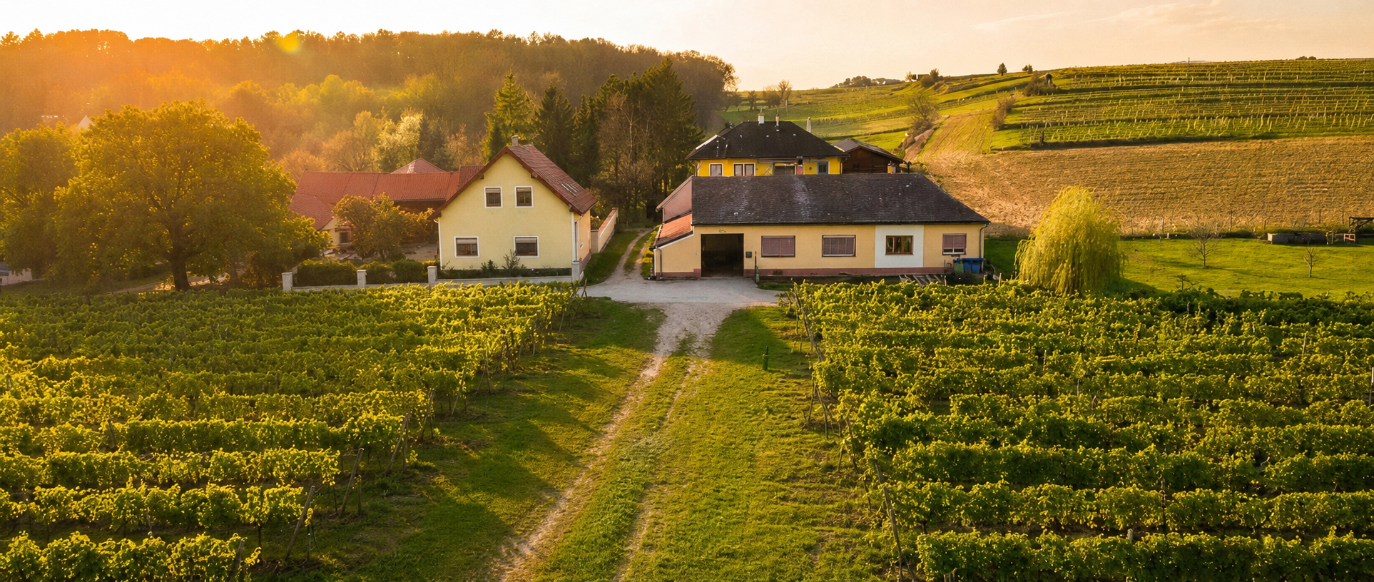 Weingut Obritzhauser